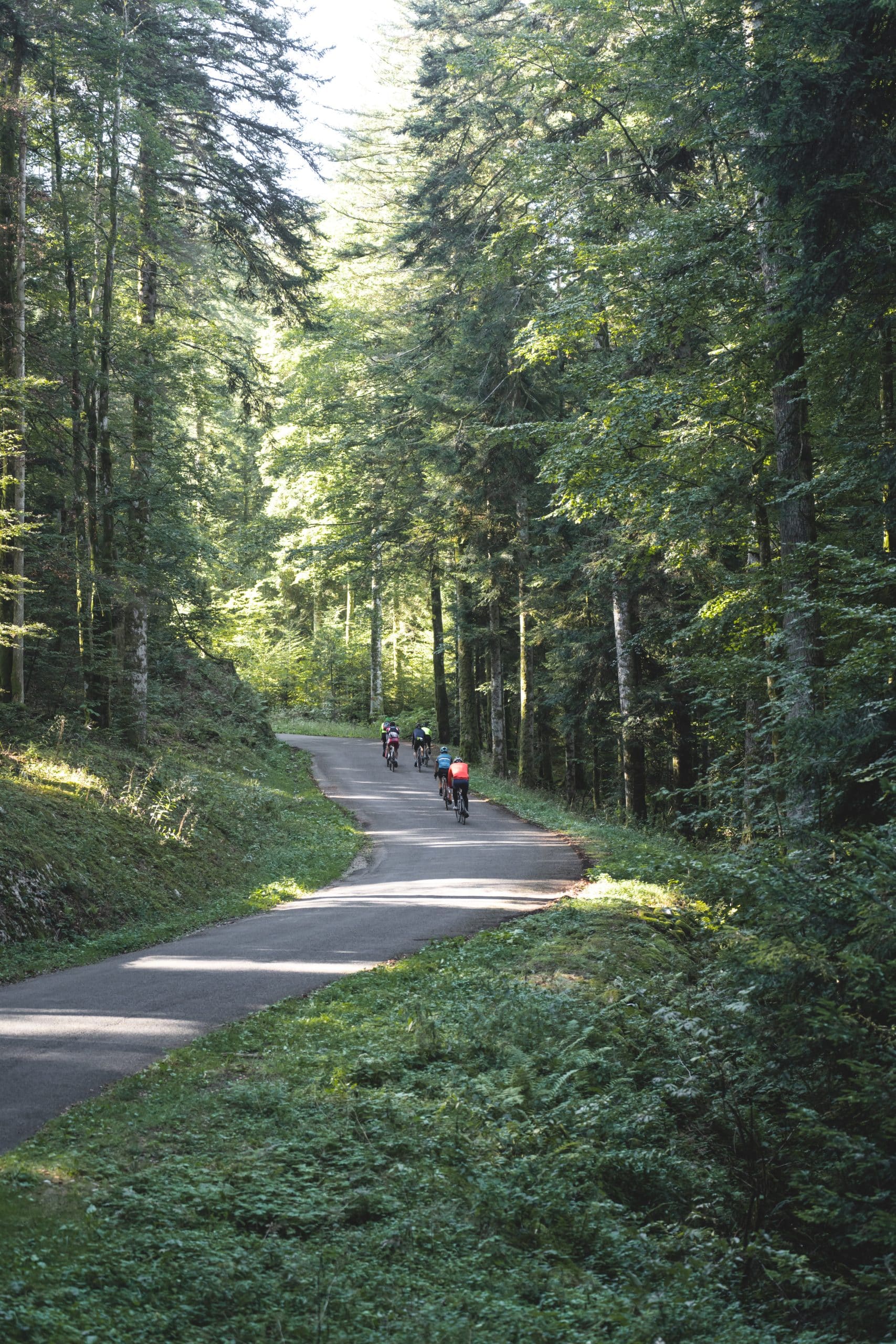 La Transju' Cyclo courses de vélo dans le Jura