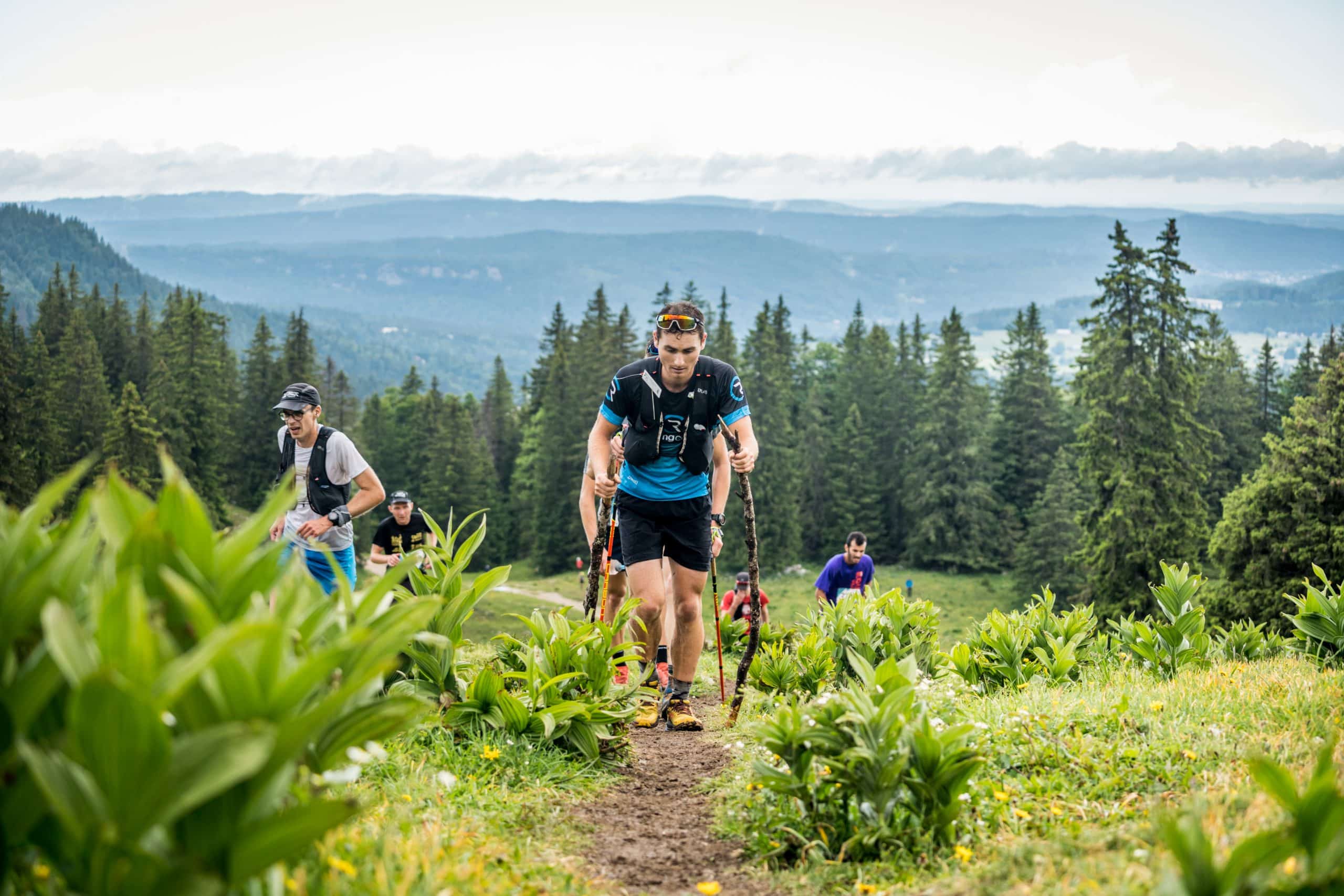 The Transju Trail in the Jura Mountains in June