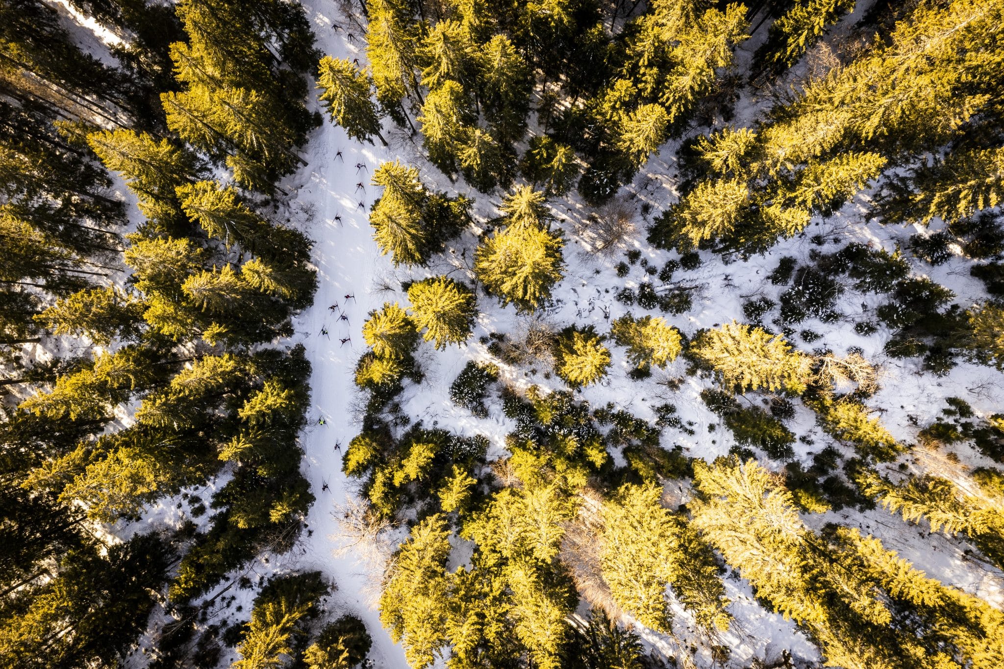 Photo de Ben Becker pour les enjeux environnementaux de La Transju