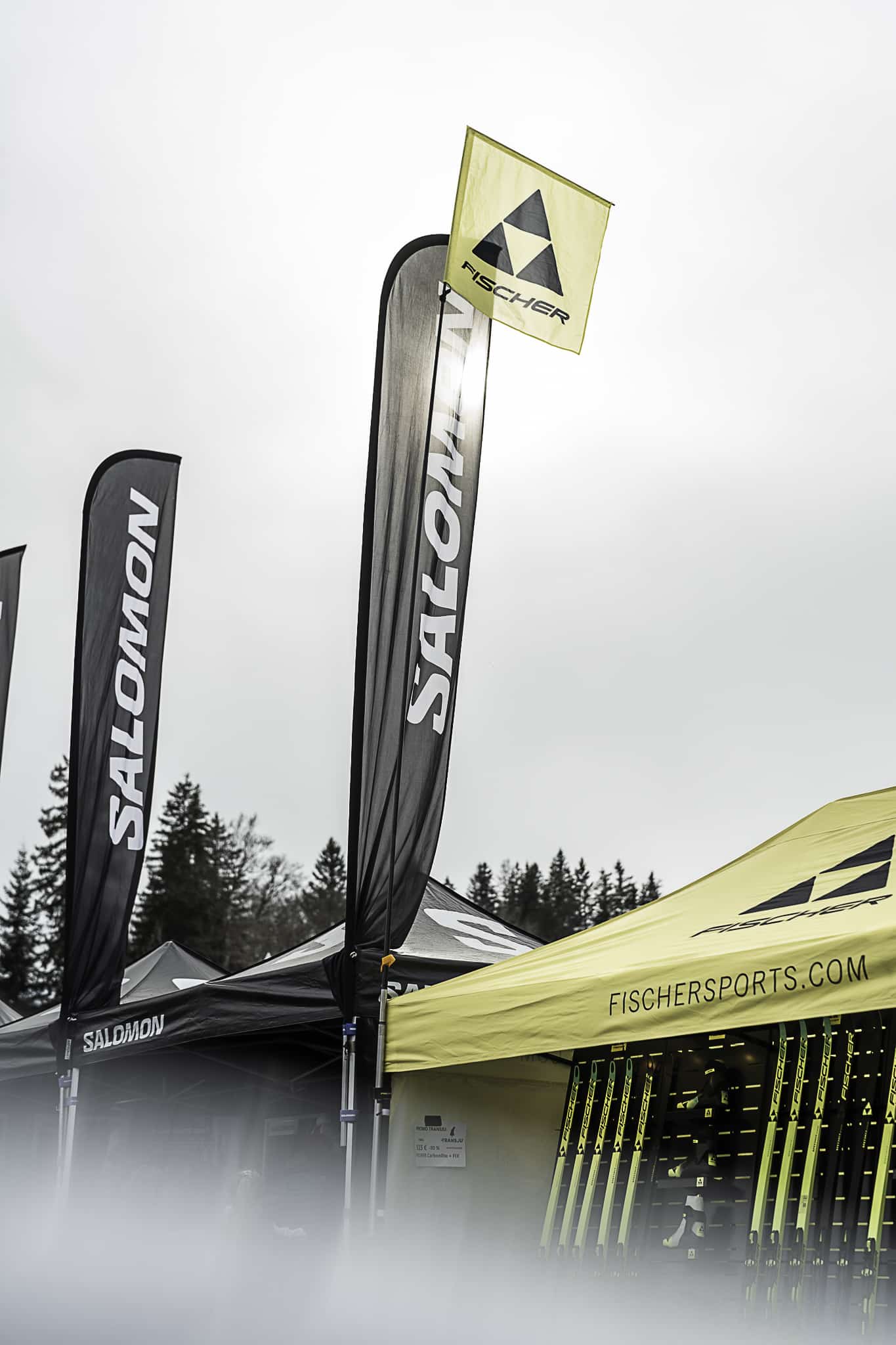 Salomon